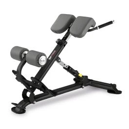 BH Fitness® Back Extension Bench L805