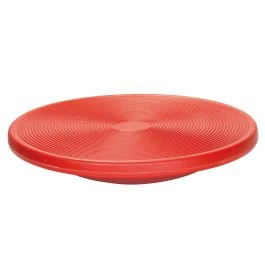 Fitness And Therapy Disc